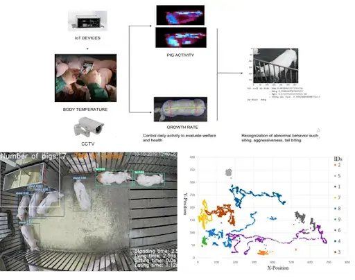 Pig Abnormal Activities Detection