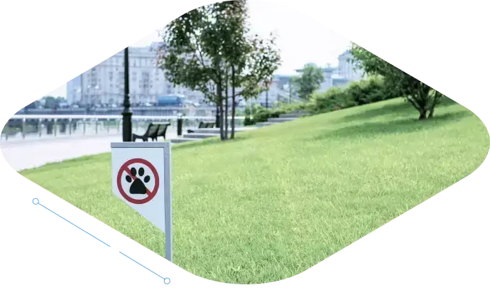 Other smart camera applications