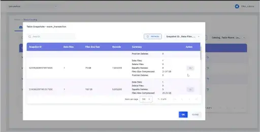 Data standardization