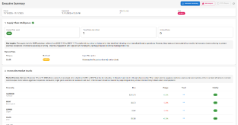 The Executive Summary